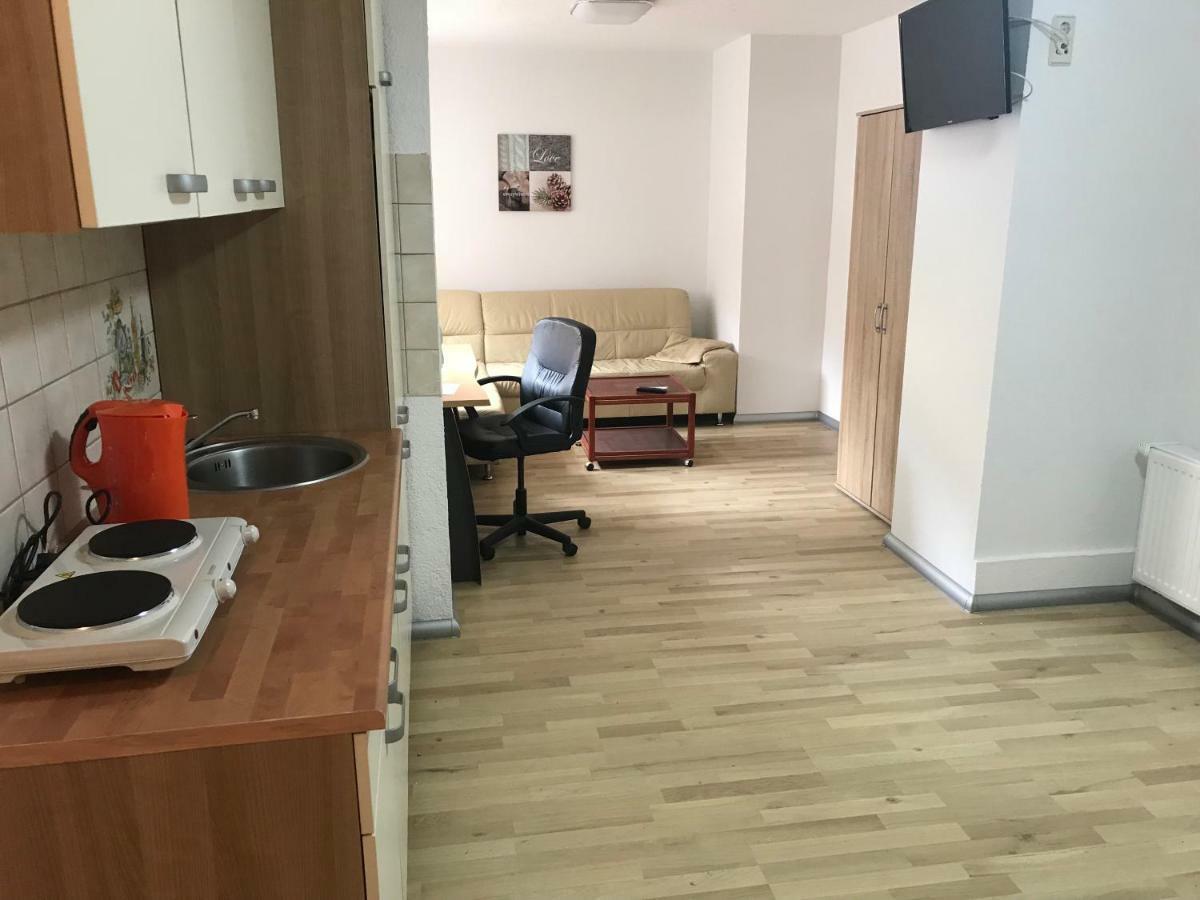 Appartment Mittweida Bagian luar foto